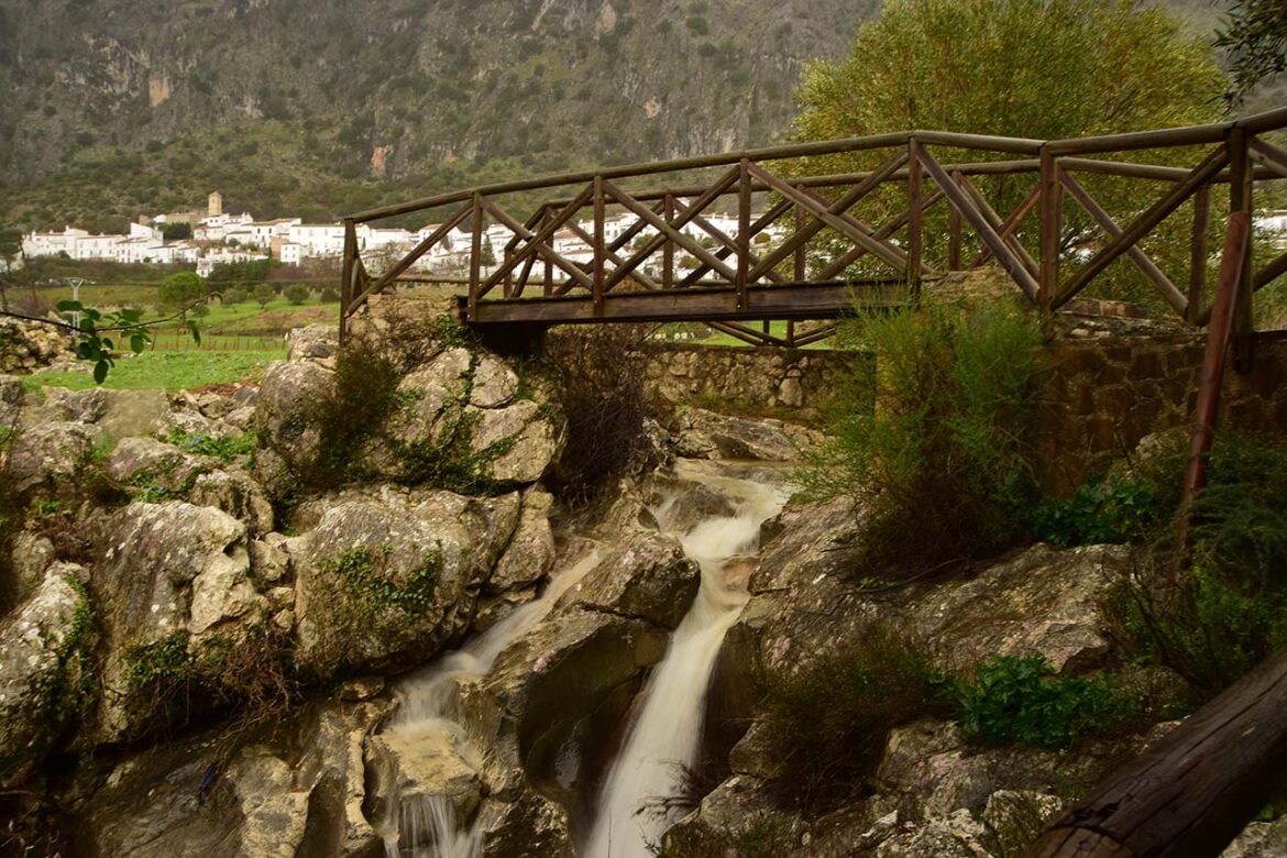 24-11-01-Villaluenga-06